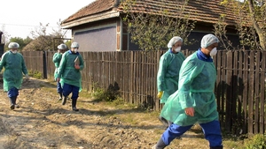 Înainte de Covid, România a avut gripa aviară. Prea multe întrebări au rămas fără răspuns