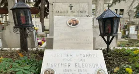 Galerie foto - poza 1