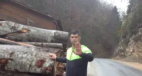 Galerie foto - poza 3