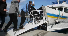 Galerie foto - poza 4