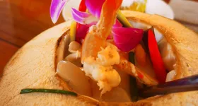 Galerie foto - poza 4