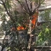 Incendiu într-un bloc din Capitală, de pe Șoseaua Mihai Bravu! S-ar fi produs o explozie: pompierii au intervenit de urgență