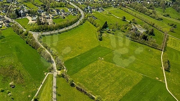 Locul de vis din România pe care trebuie să-l vizitezi: Poiana Narciselor