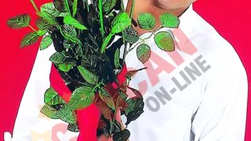 Somer din cauza imaginii