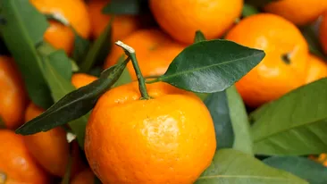 Diferența dintre mandarine și clementine. Par identice la prima vedere, dar nu e așa