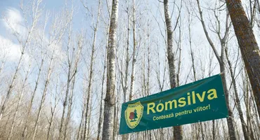 Prime colosale la pensionare pentru angajații Romsilva: 100.000 de euro