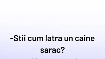 BANCUL ZILEI | Cum latră un câine sărac