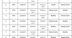 Galerie foto - poza 3