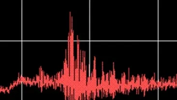 Cutremur mare în România. A avut loc la ora 11:48