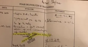 Galerie foto - poza 3