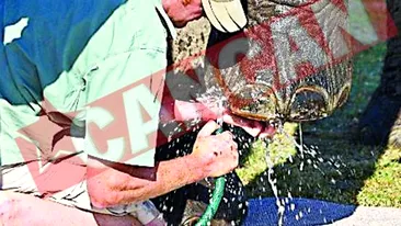 Elefantul care face vin