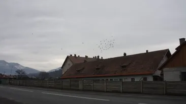 Mărturiile groazei: ”Ziua vedeam violuri!”, ”A urcat un șobolan pe mine!”