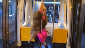 Noi imagini controversate cu Margherita! Fata Clejanilor, filmată în ispotaze scandaloase într-un metrou