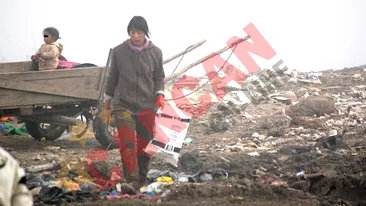 Cauta fier vechi prin gunoi