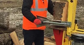 Galerie foto - poza 3