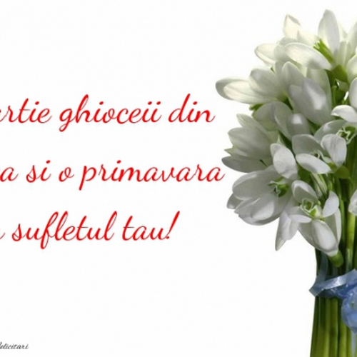 Imagine Galerie #1