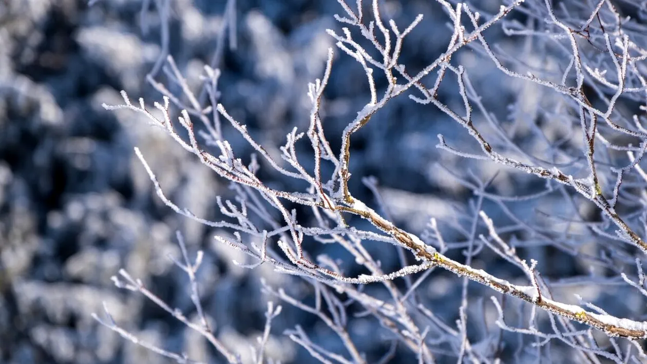 Prognoza meteo pentru duminică 21 decembrie. Iarna blândă continuă în România iar ceața își face din nou apariția
