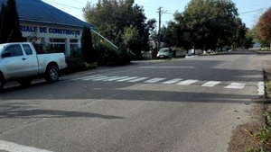 Un botoșănean a trasat cu bidineaua propria trecere de pietoni. Care a fost reacția polițiștilor