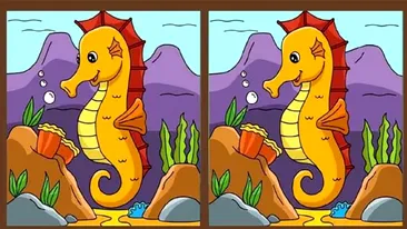 Test IQ | Există 3 diferențe între aceste imagini, însă doar cei mai inteligenți le pot observa