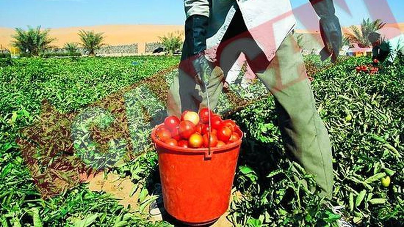 O firma din Romania a otravit Europa