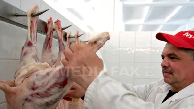 Carnea de miel s-a scumpit și în Bulgaria, la fel ca și în România / „Crescătorul bulgar moare zâmbind, dar moare”