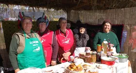 Galerie foto - poza 1