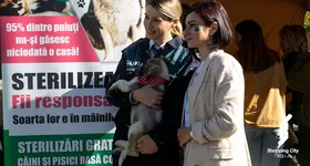 Galerie foto - poza 3