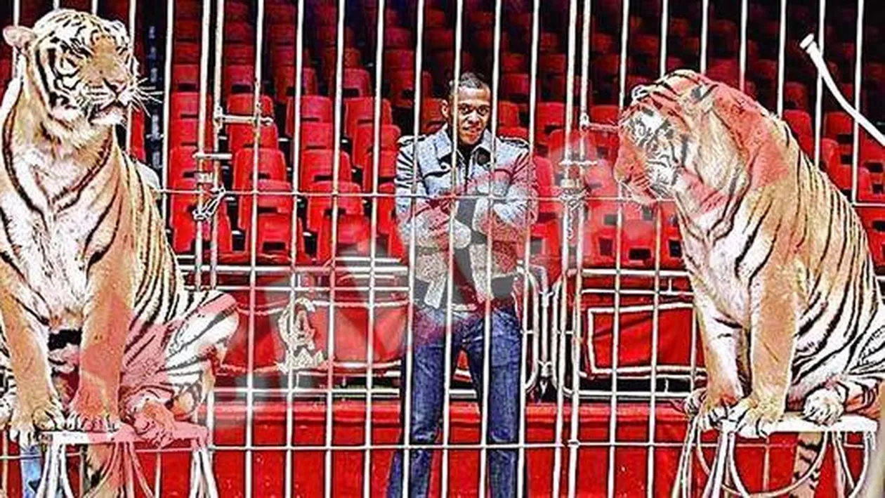 Fiara Julio Baptista se antreneaza cu tigrii
