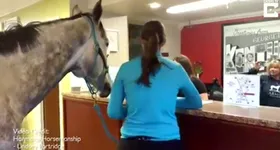 Galerie foto - poza 3