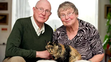 Cea mai batrana pisica traieste in Olanda! Are 25 de ani