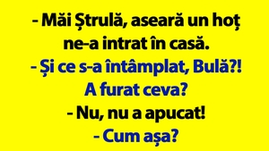 BANC | Bulă, Bubulina și hoțul ghinionist