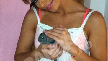Magda Palimariu a primit cadou de la iubitul ei o chinchilla! VEZI cum a botezat-o
