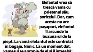 BANC | Elefantul vrea să treacă vama cu prietenul său, şoricelul