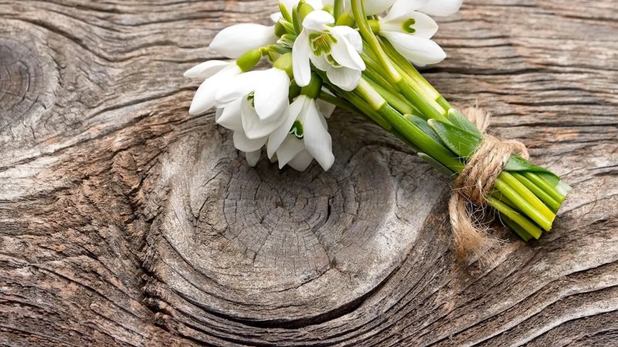 Pandemia și-a spus cuvântul! Câți lei costă un buchețel de ghiocei în piață