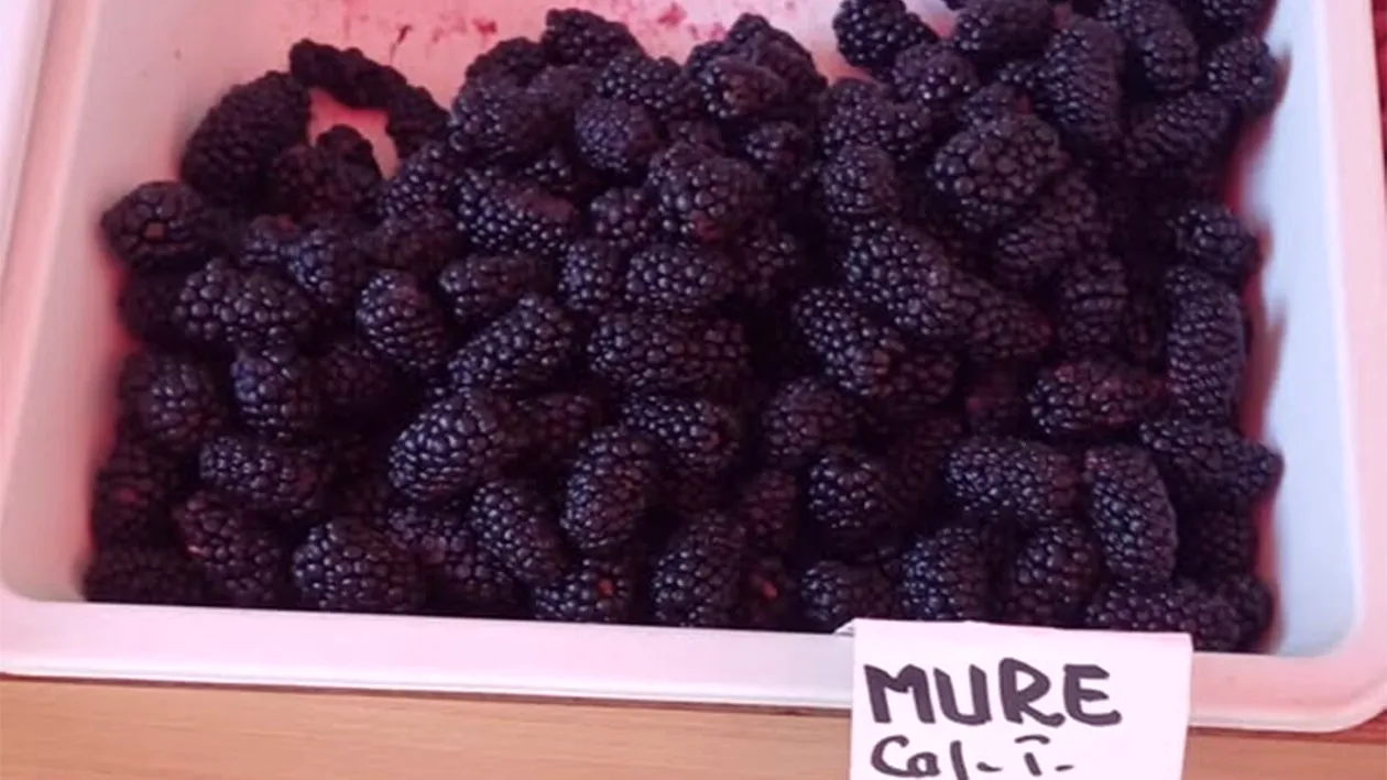 Mure, la preț de caviar! Cât costă 1 kilogram + reacția Asociației pentru Protecția Consumatorilor din România