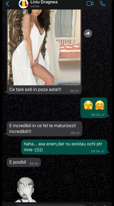 Discuțiile pe WhatsApp între Liviu Dragnea și Suzi