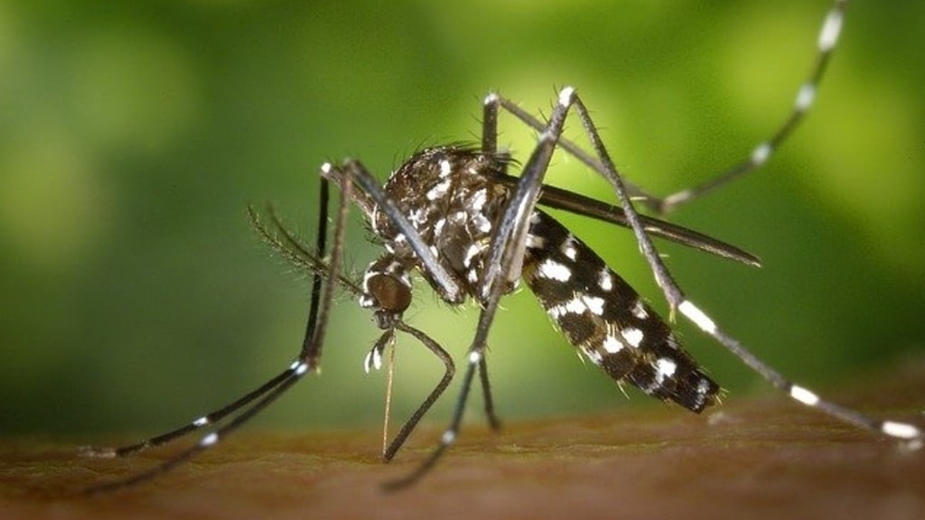 A fost înregistrat primul deces din România provocat de virusul West Nile. Au fost confirmate alte 3 cazuri