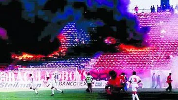 Calaul Stelei, invitat la petrecerea cainilor