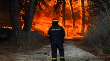 Concediu cumplit pentru români! O insulă din Grecia a fost evacuată, după ce flăcările au devenit periculoase