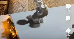 Galerie foto - poza 3