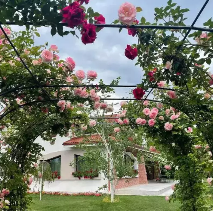 Mirela Vaida are „parc de distracții” acasă! Cum arată grădina vilei din Snagov. Teren de baschet + piscină