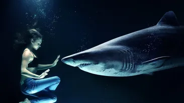 Când va fi adus în țară trupul neînsuflețit al Roxanei Donisan, românca ucisă de un rechin în Egipt