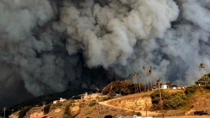 Bilanțul incendiilor de vegetație din California a ajuns la 56 de morți