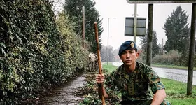 Galerie foto - poza 1