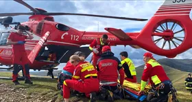 Galerie foto - poza 3