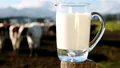 Toate miturile despre consumul de lapte. Cât de sănătos este pentru adulți, potrivit medicilor și specialiștilor în nutriție