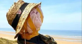 Galerie foto - poza 4