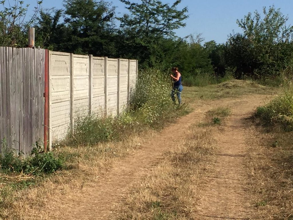 Angajații Primăriei Caracal taie iarba din curtea casei lui Gheorghe DIncă