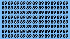 Test de perspicacitate | Găsiți numărul 88 în cel mult 5 secunde!