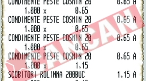 Ministrul Cioroianu s-a mutat intr-un apartament de 400.000 de euro